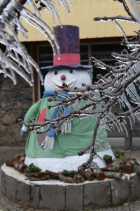 Gelo em São Joaquim (10)