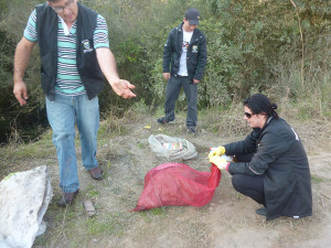 Gerência de Proteção Animal recebe denúncias de maus tratos (1)