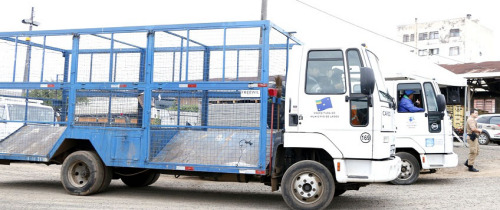 Coleta seletiva está normalizada desde sexta-feira