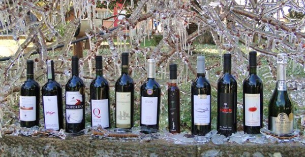 Vinhos-Finos-de-Altitude