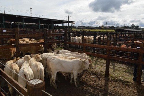 feira segunda etapa1