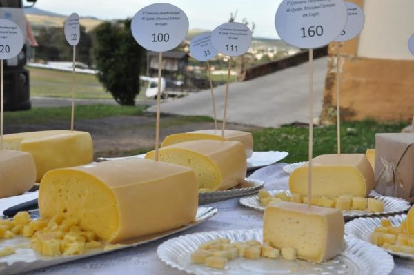queijo-concurso