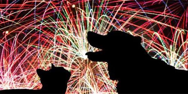 fogos-artificio-caes